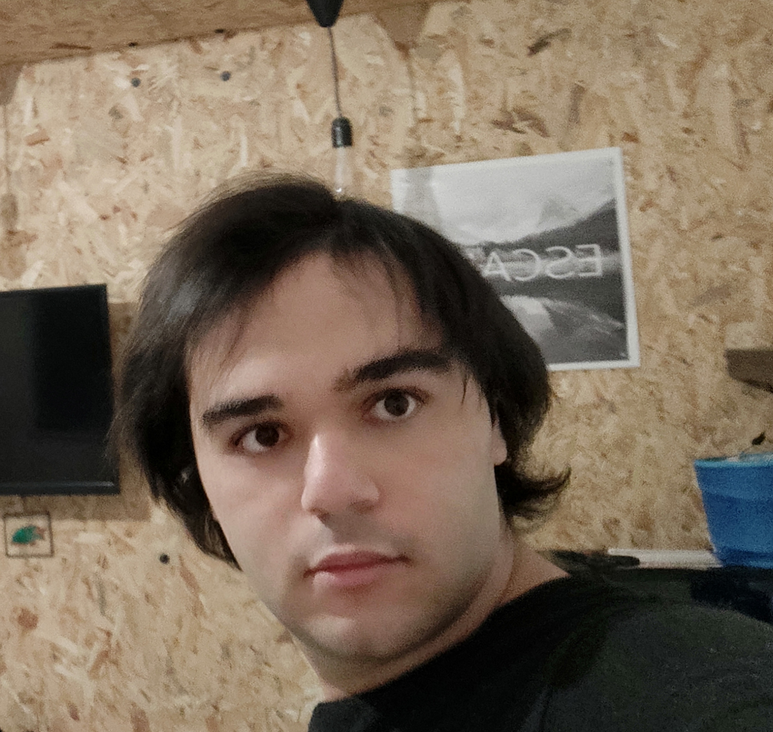 Your Maven Japanese coach